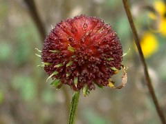 2005/11
